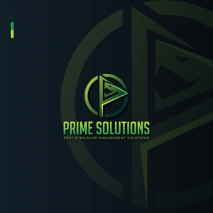 Logo Design by creative.bugs for this project | Design: #27839913