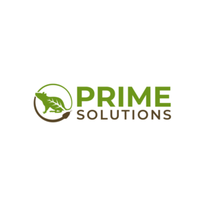 Logo Design by Dream Logo Design for this project | Design: #27842007