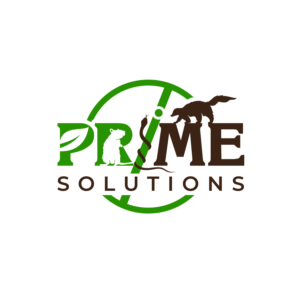 Logo Design by Dream Logo Design for this project | Design: #27845273
