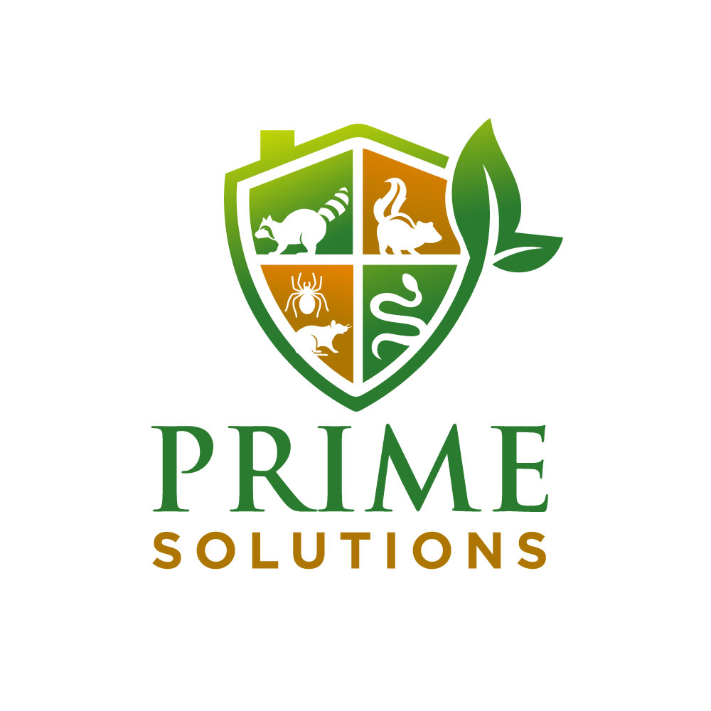Logo Design by YAZIKO for this project | Design #27844522