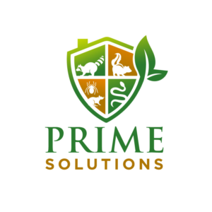 Logo Design by YAZIKO for this project | Design: #27844522