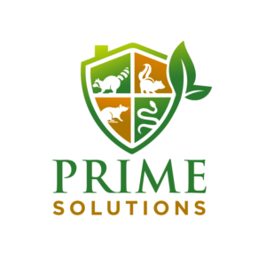 Logo Design by YAZIKO for this project | Design: #27846940