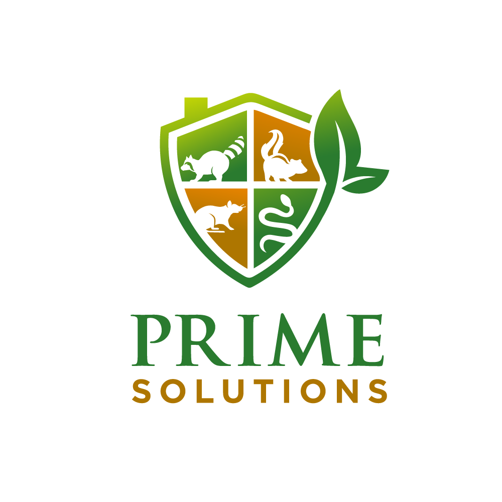 Logo Design by YAZIKO for this project | Design #27874922