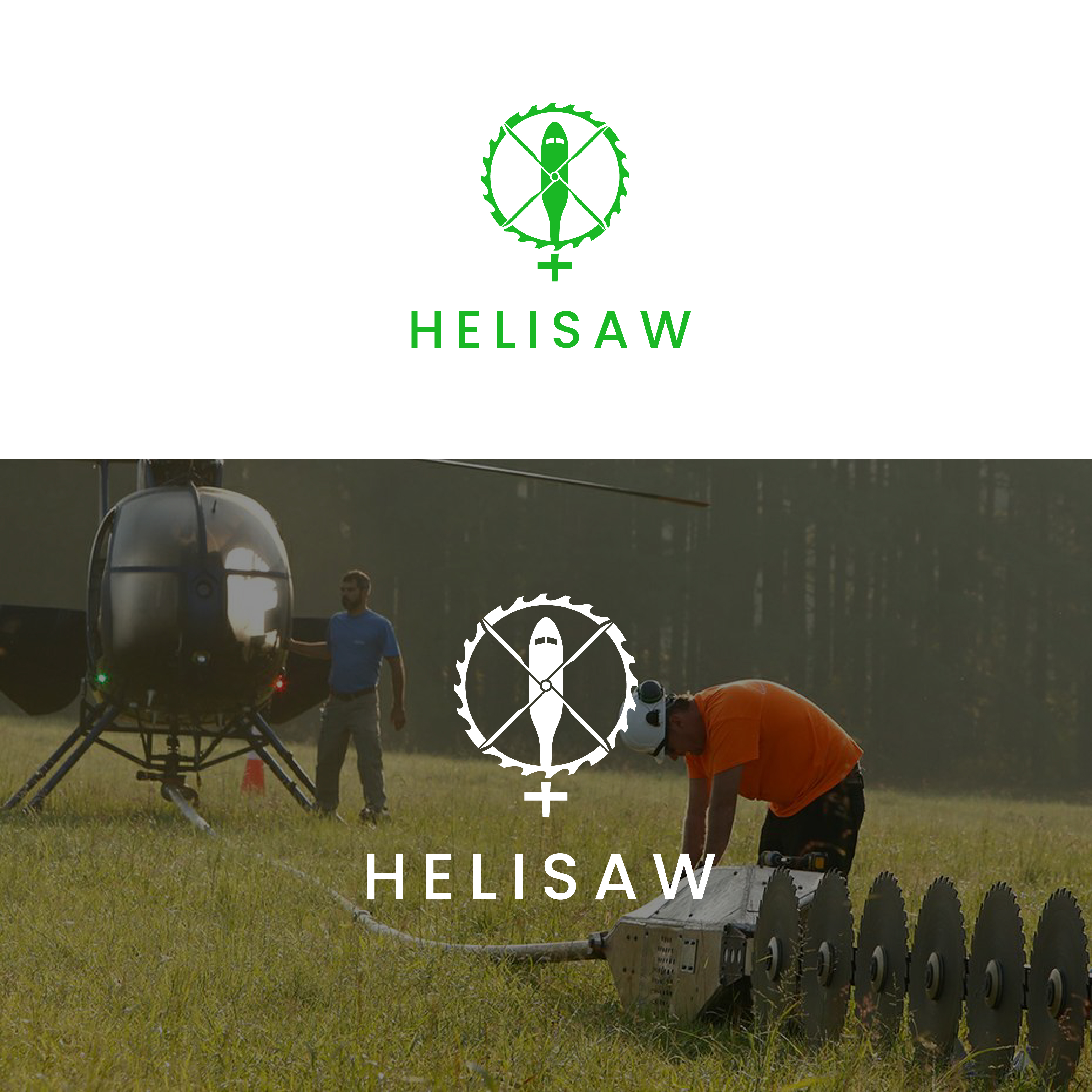Diseño de Logo por Zalala para Heli Aviation | Diseño #27840399