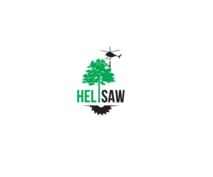 Diseño de Logo por bijuak para Heli Aviation | Diseño: #27853480