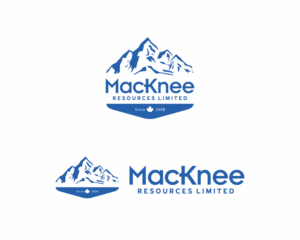 Logo Design by lovian