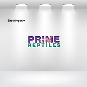 Logo Design by RRR Design for this project | Design: #27845655