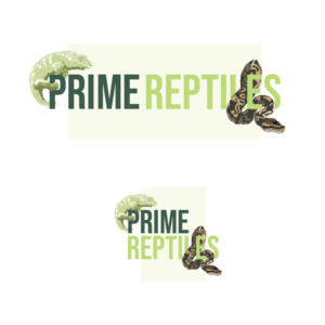 Design de Logo par Enz67 pour ce projet | Design #27847273