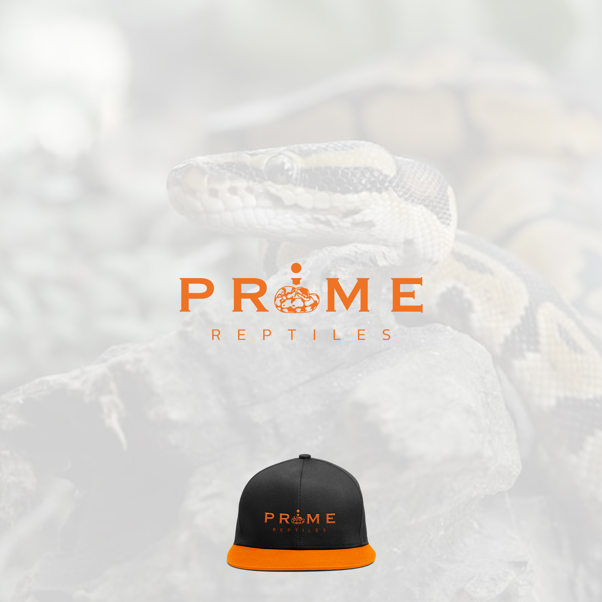 Logo Design by TonySg for this project | Design #27869927