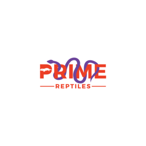 Logo Design by LAXMI DESIGNHUB for this project | Design: #27844829