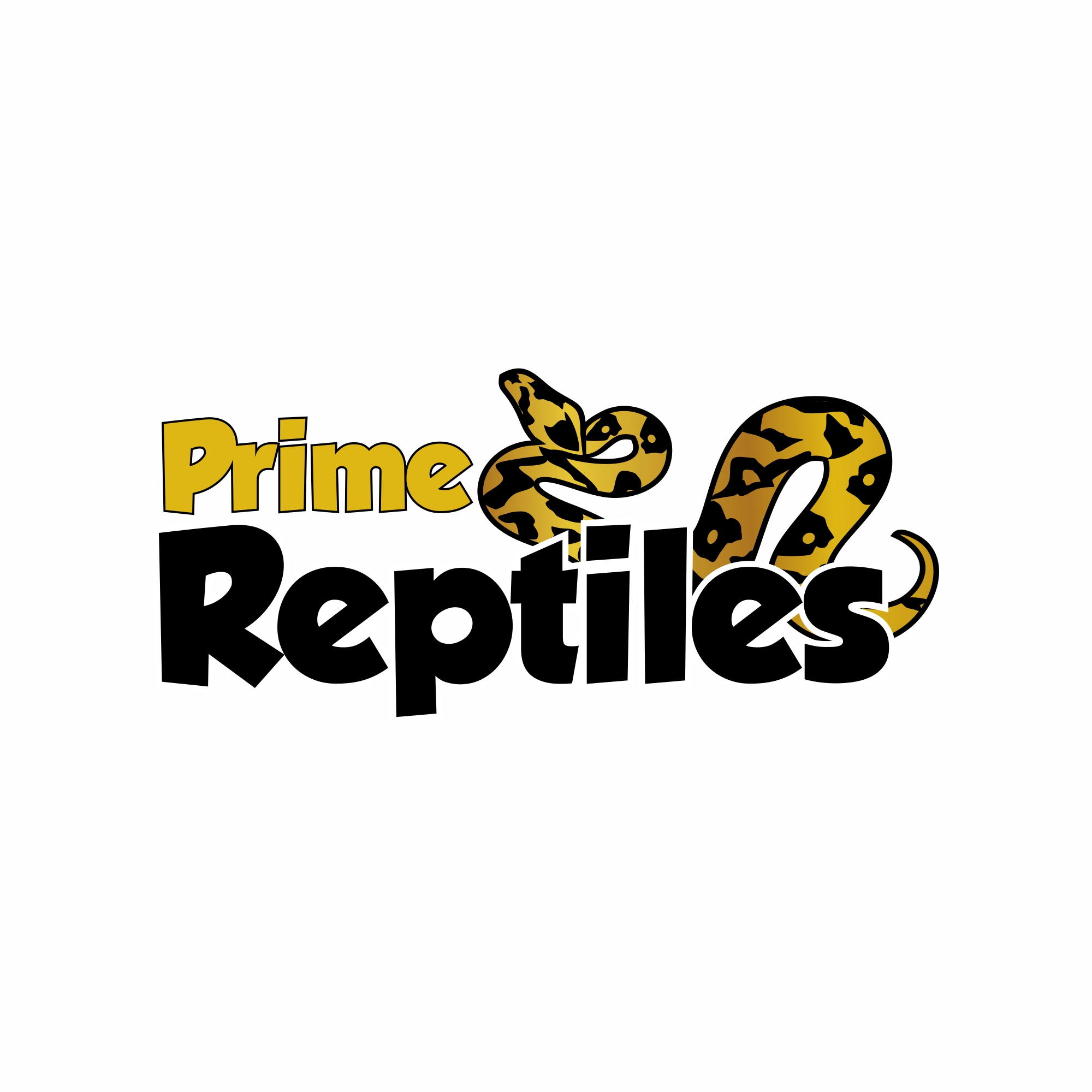 Reptiles In The Logos Of Some Dojos Crossword - vhji7jv