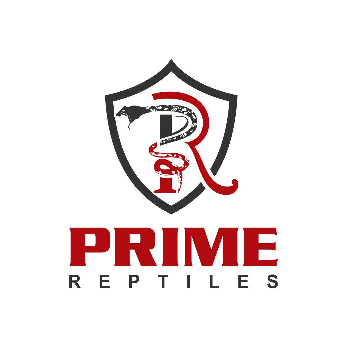 Diseño de Logo por fly  design para este proyecto | Diseño #27847301