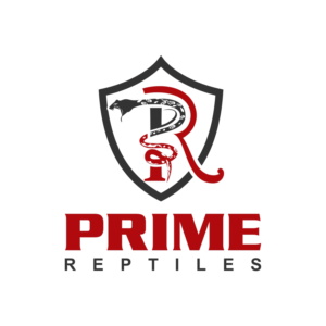 Prime Reptiles | Logo Design by fly  design
