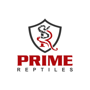 Logo Design by fly  design for this project | Design: #27849996