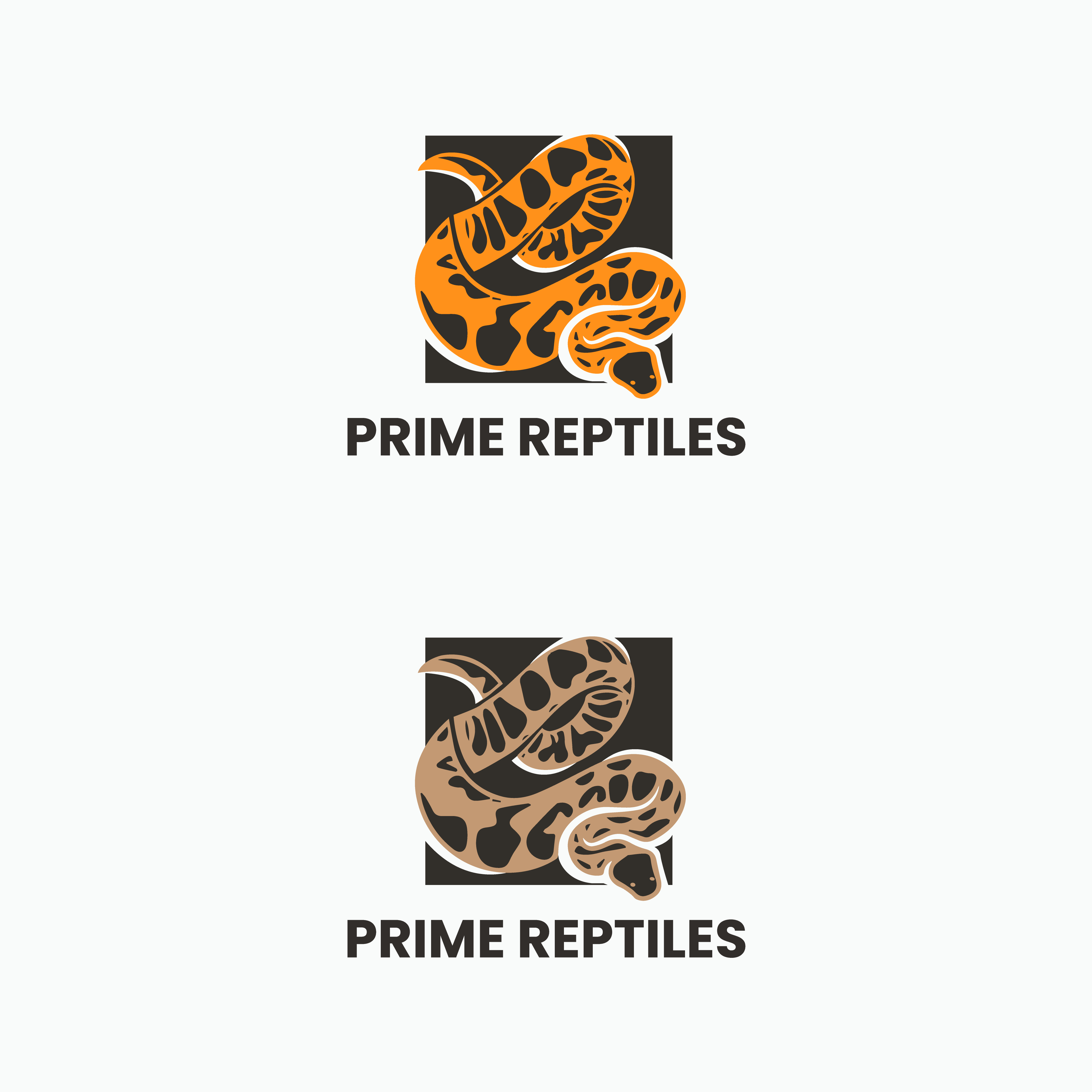 Logo-Design von Rockzzila für dieses Projekt | Design #27867122