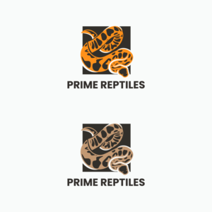 Design de Logo par Rockzzila pour ce projet | Design #27867122