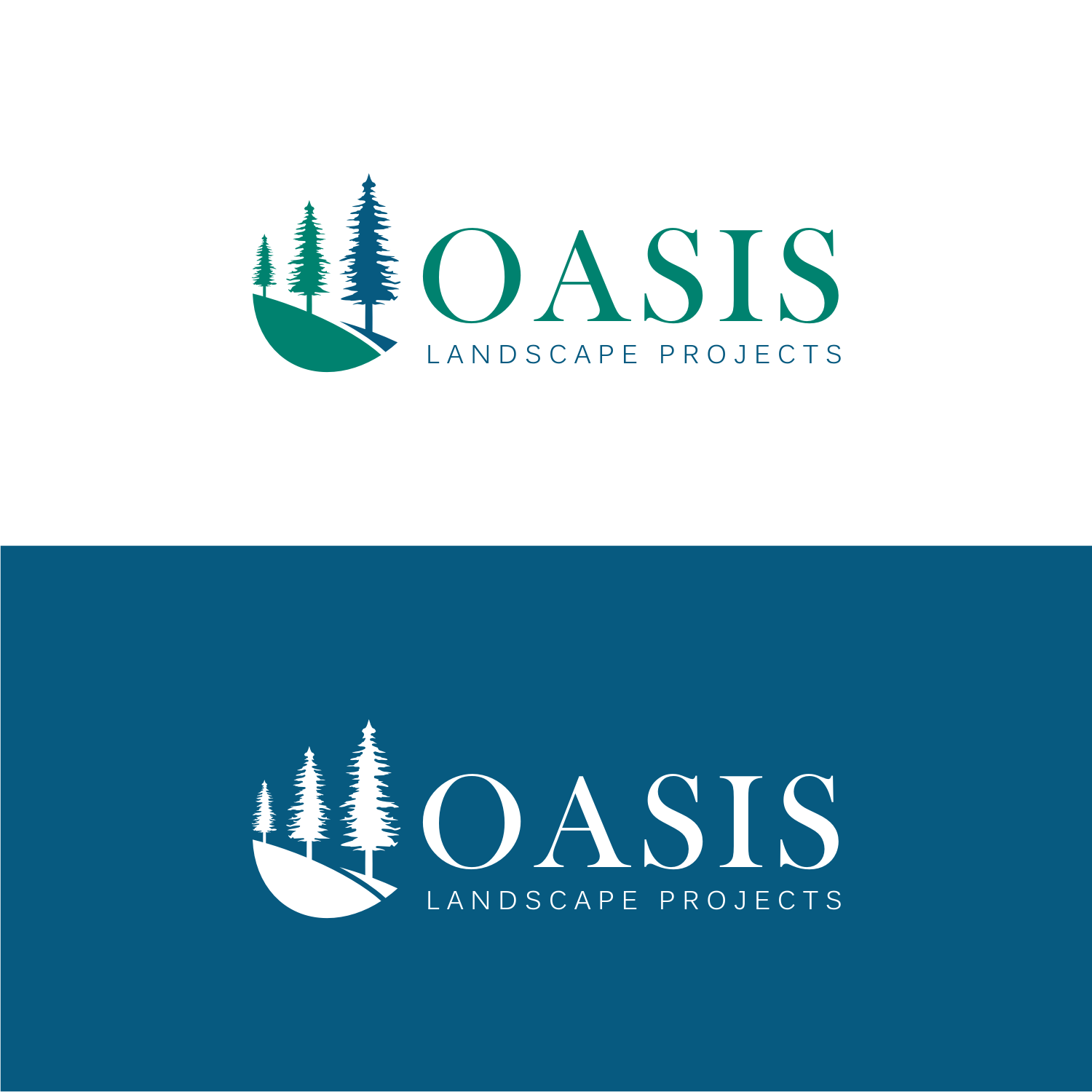 Logo Design by R16 for Hammer & Nail Projects | Design #27849152