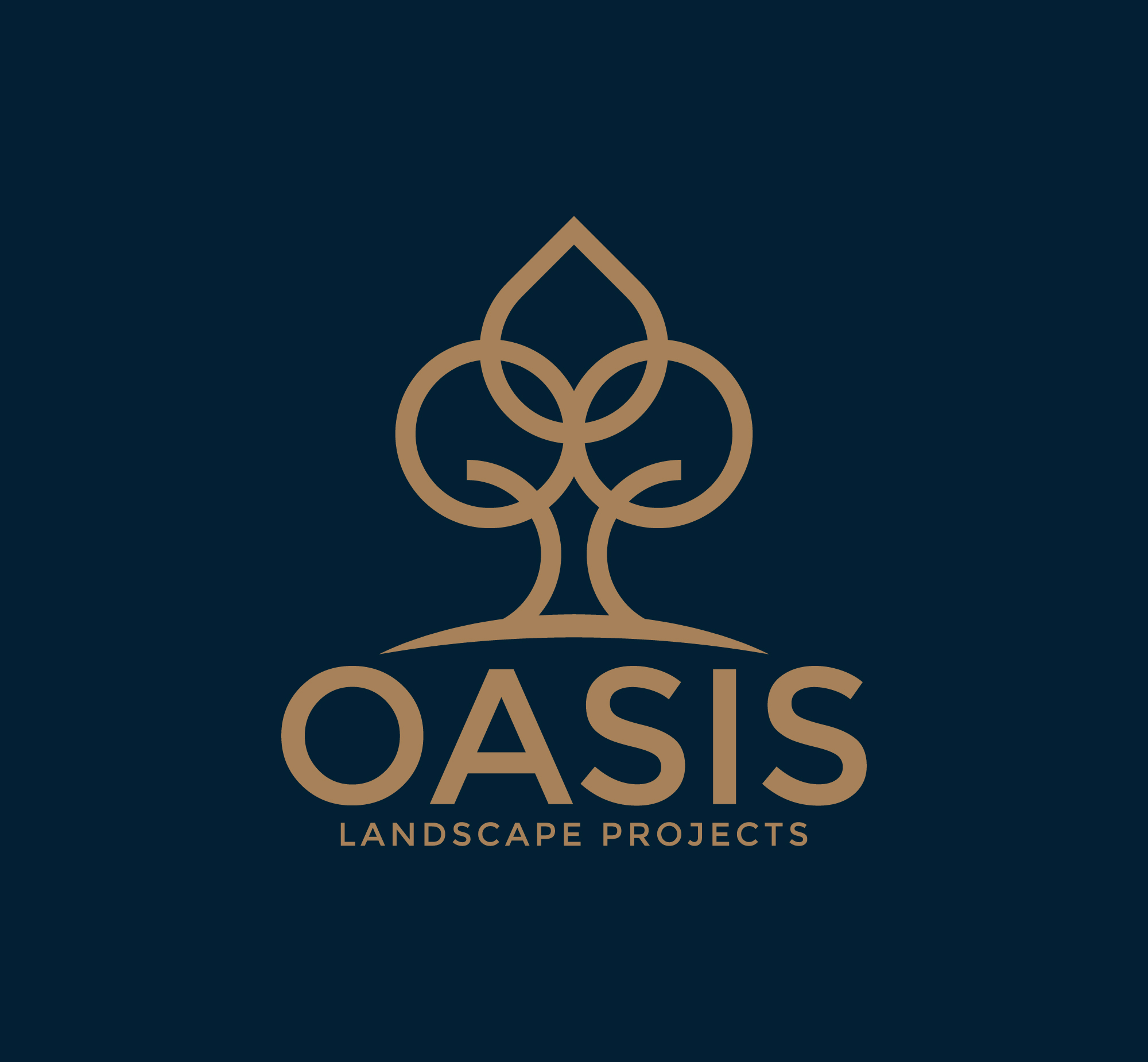 Logo-Design von AinebAyoub für Hammer & Nail Projects | Design #27853008