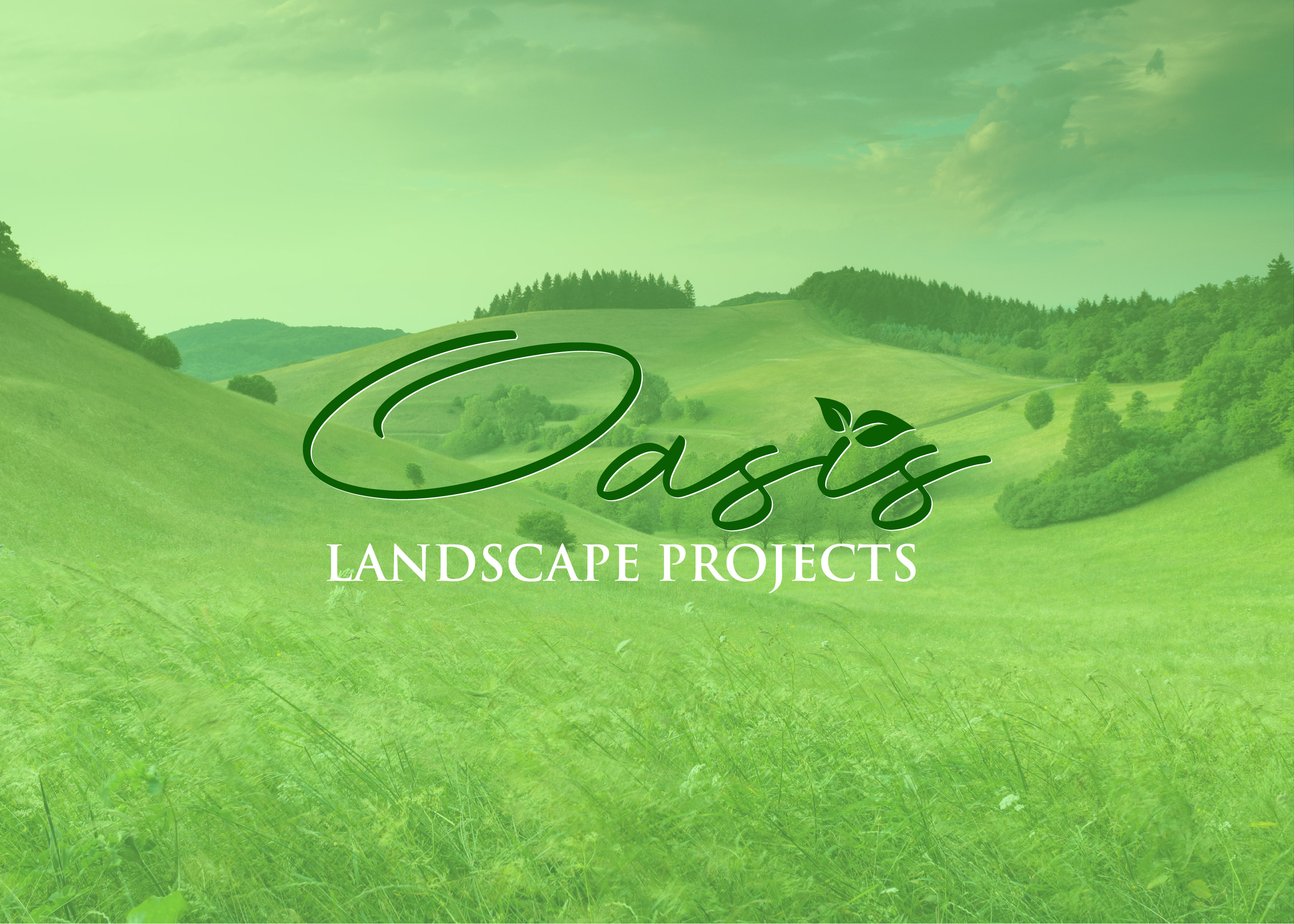 Logo Design by Snap Arts for Hammer & Nail Projects | Design #27847852