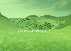 Logo Design by Snap Arts for Hammer & Nail Projects | Design: #27847852