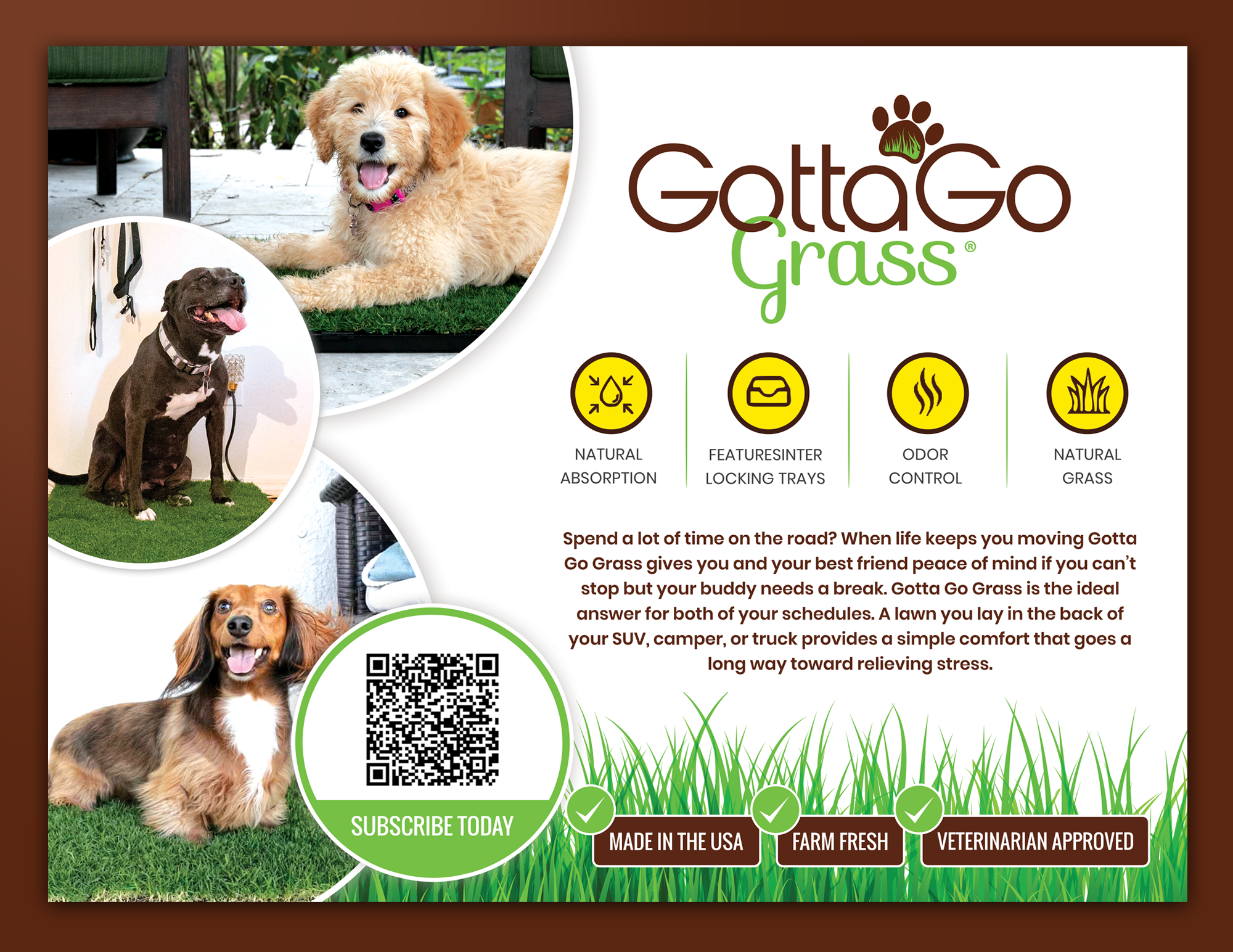 Poster Design by Sandaruwan for this project | Design #27866808