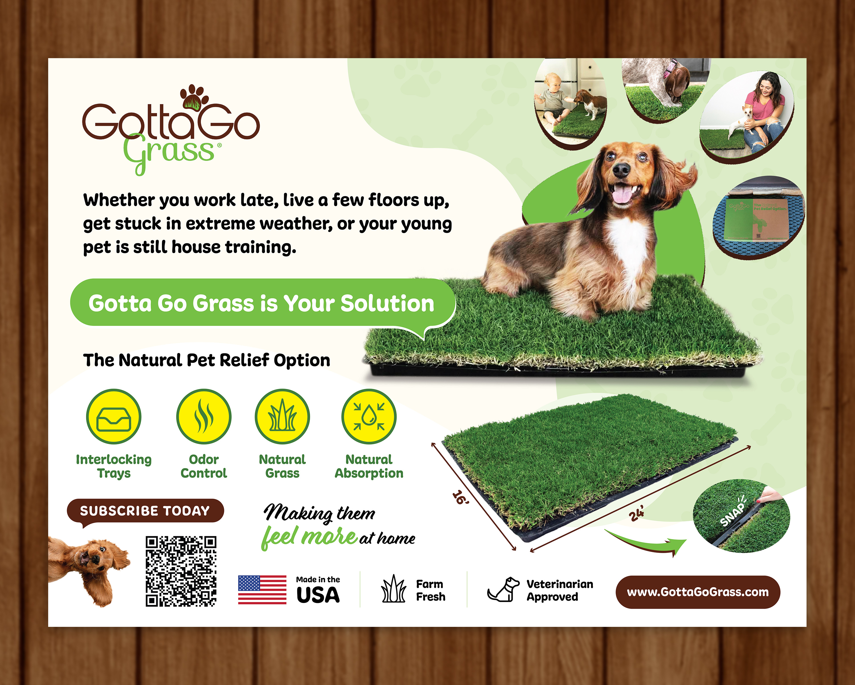 Poster Design by sun_design for this project | Design #27869634