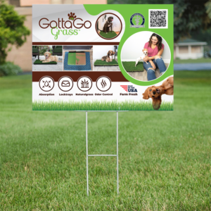 Poster Design by Deziners Zone for this project | Design: #27856065