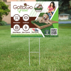 Poster Design by Deziners Zone for this project | Design: #27856067