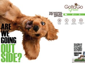 Poster Design by veritsam for this project | Design: #27885846