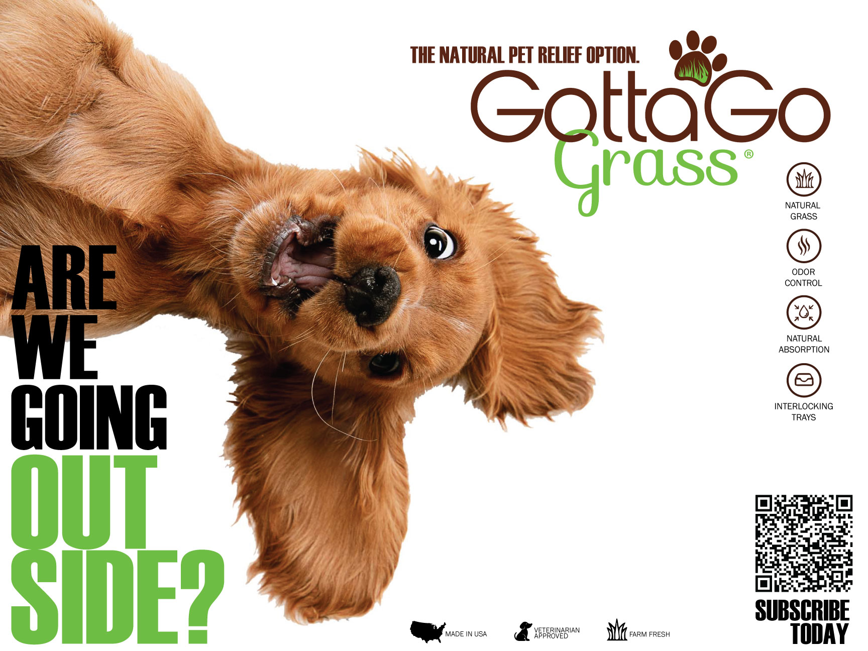 Design de Poster par veritsam pour ce projet | Design #27899890