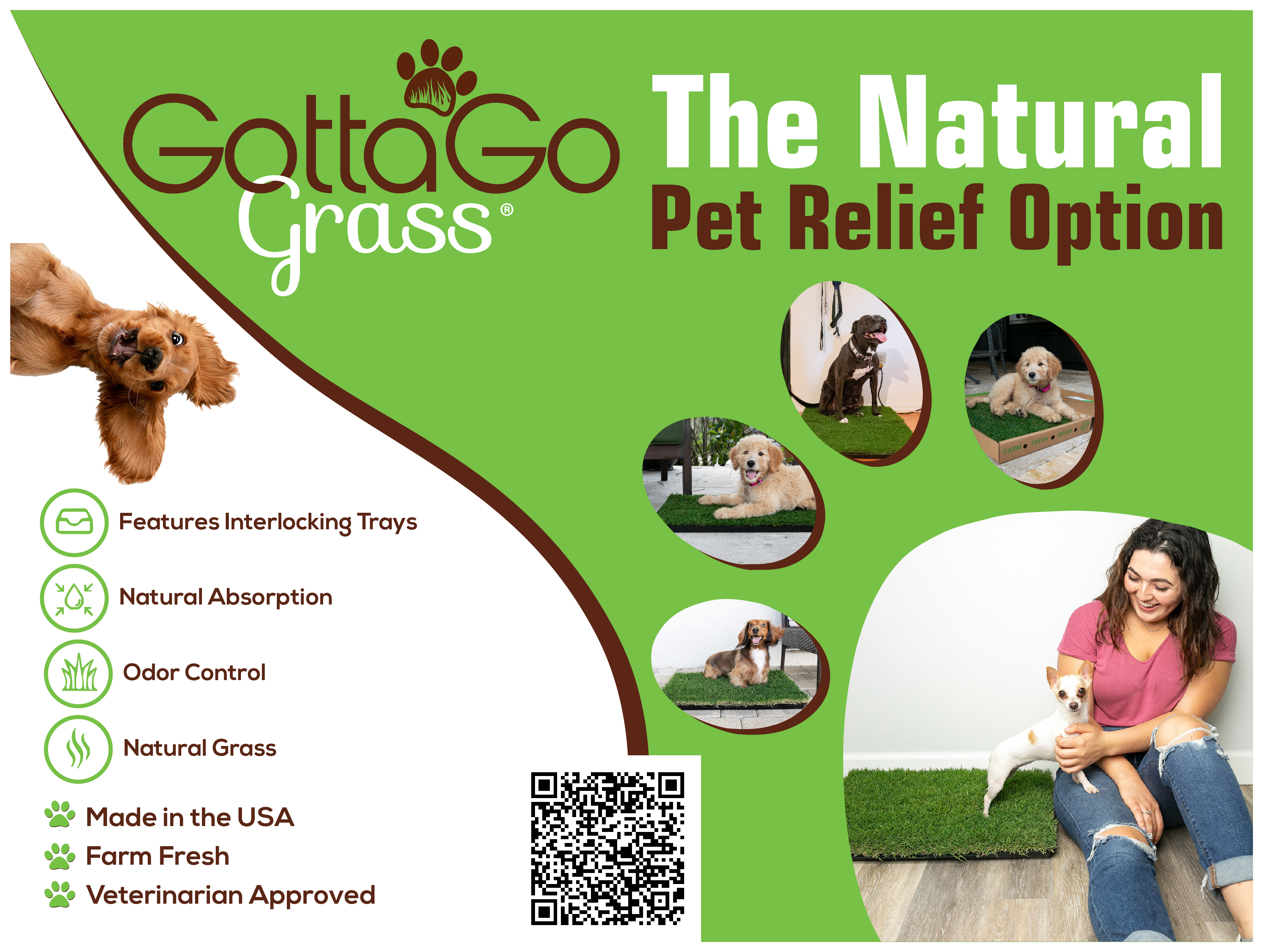 Poster Design by 3Guys for this project | Design #27873740