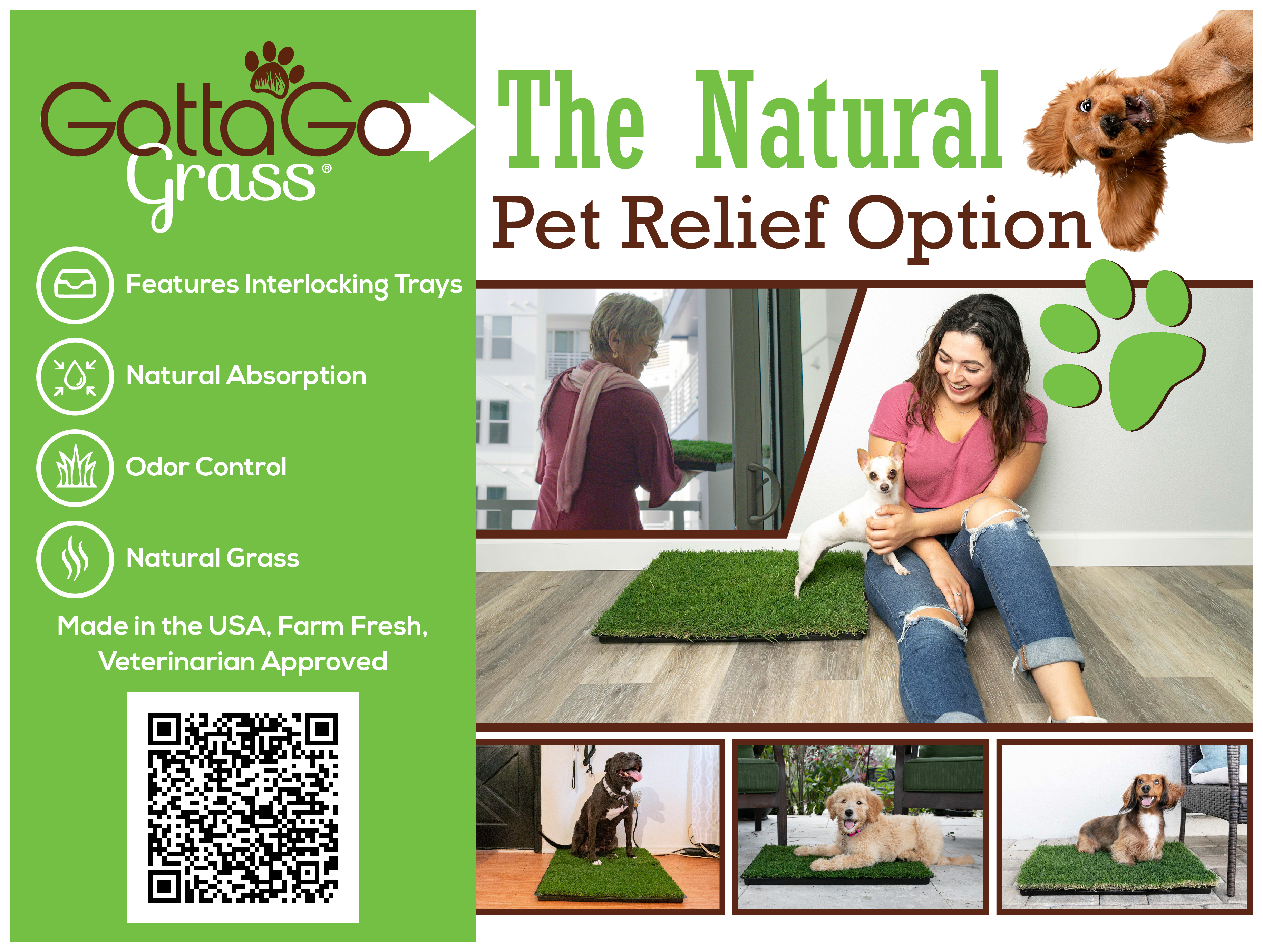 Poster Design by 3Guys for this project | Design #27873741