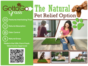 Poster Design by 3Guys for this project | Design: #27873741