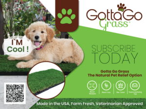 Poster Design by 3Guys for this project | Design: #27873816