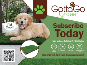 Poster Design by 3Guys for this project | Design: #27873817