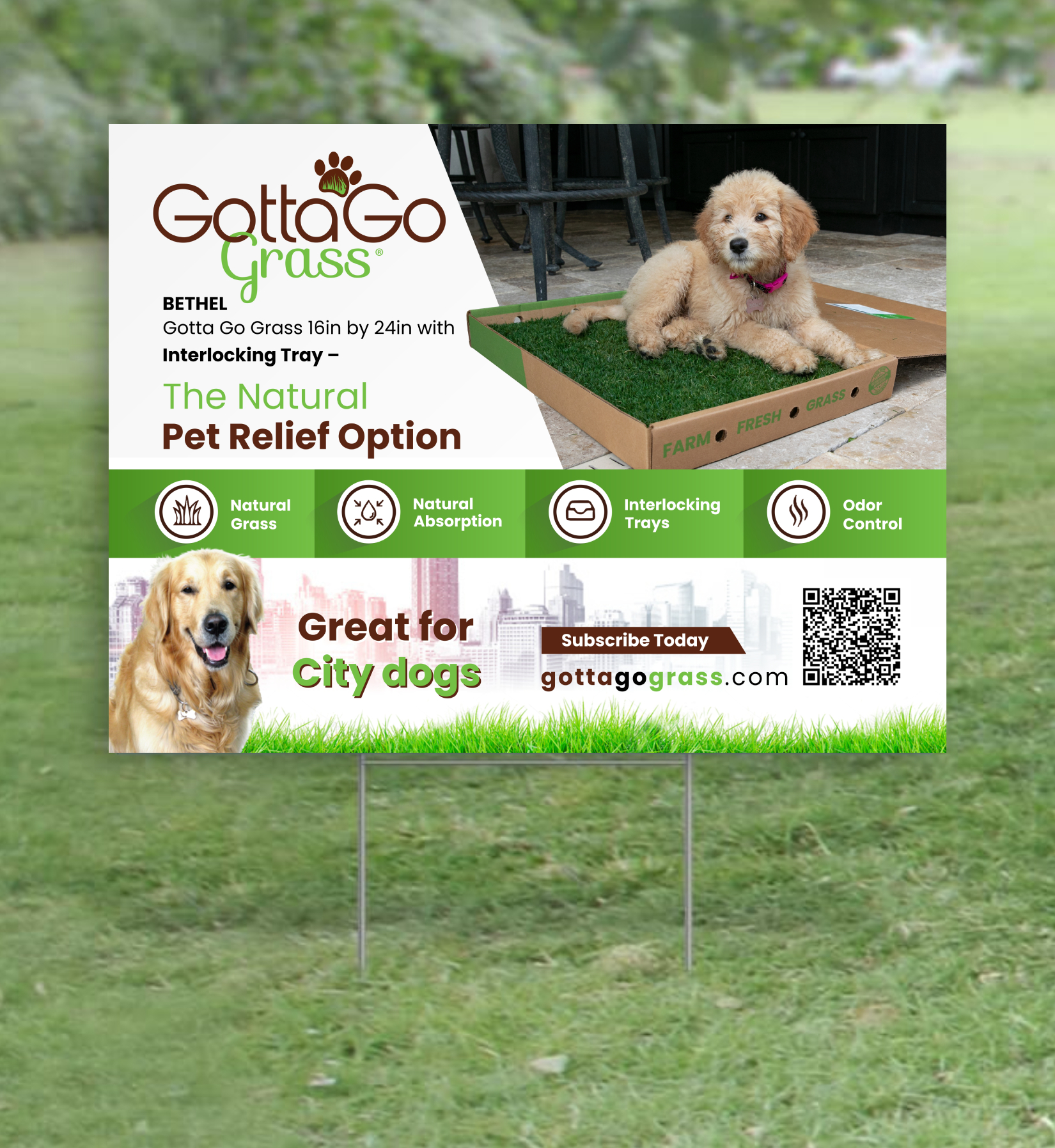 Poster Design by ecorokerz for this project | Design #27866484