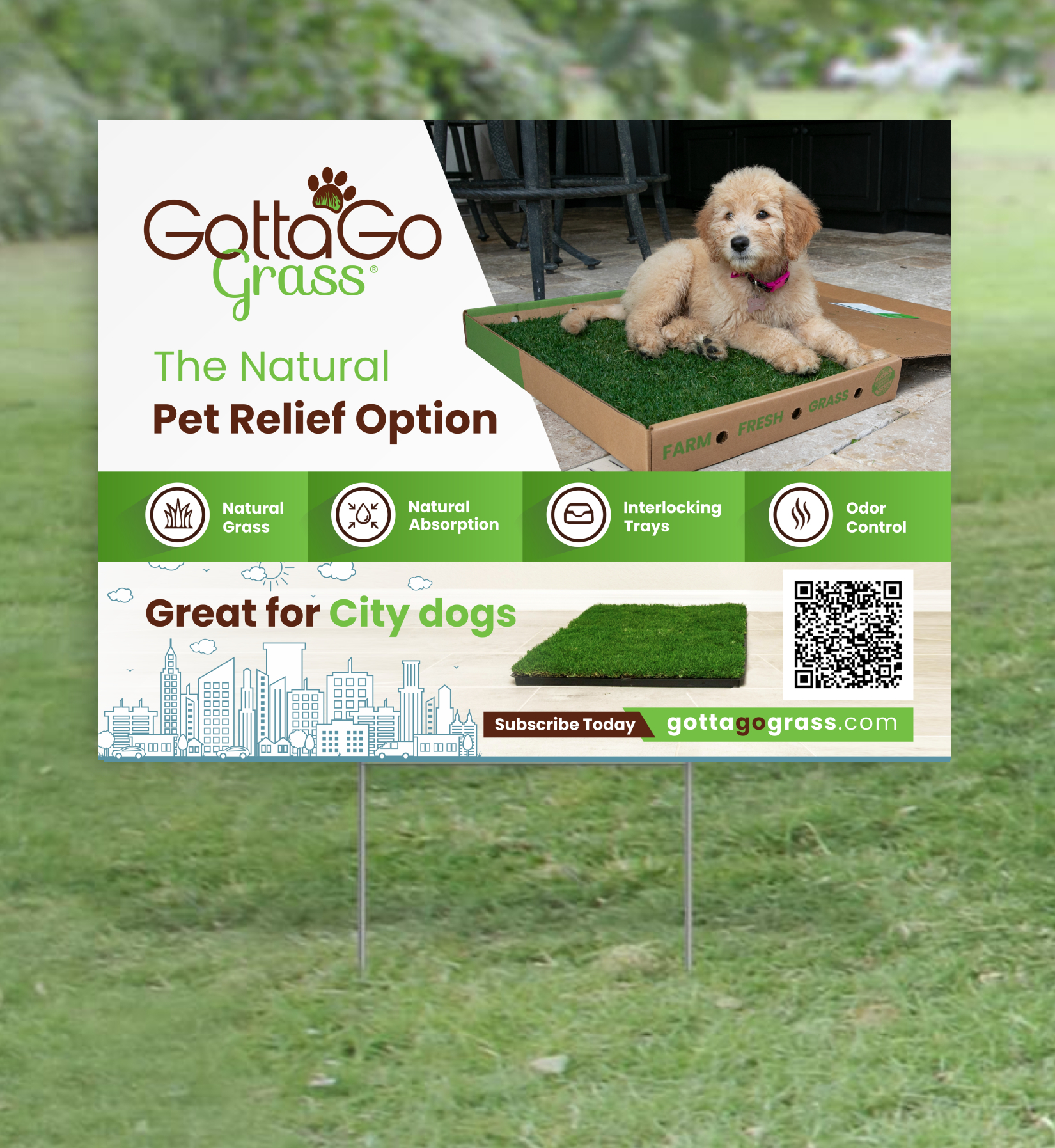 Poster Design by ecorokerz for this project | Design #27900679