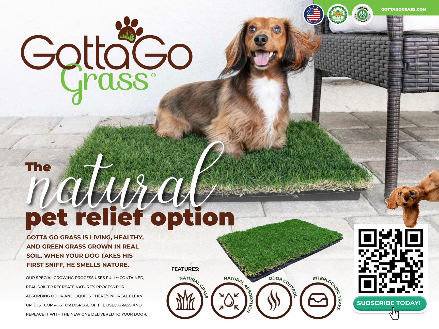 Design de Poster par Sarina.dsg pour ce projet | Design #27852372