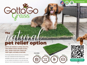 Poster Design by Sarina.dsg for this project | Design: #27852372