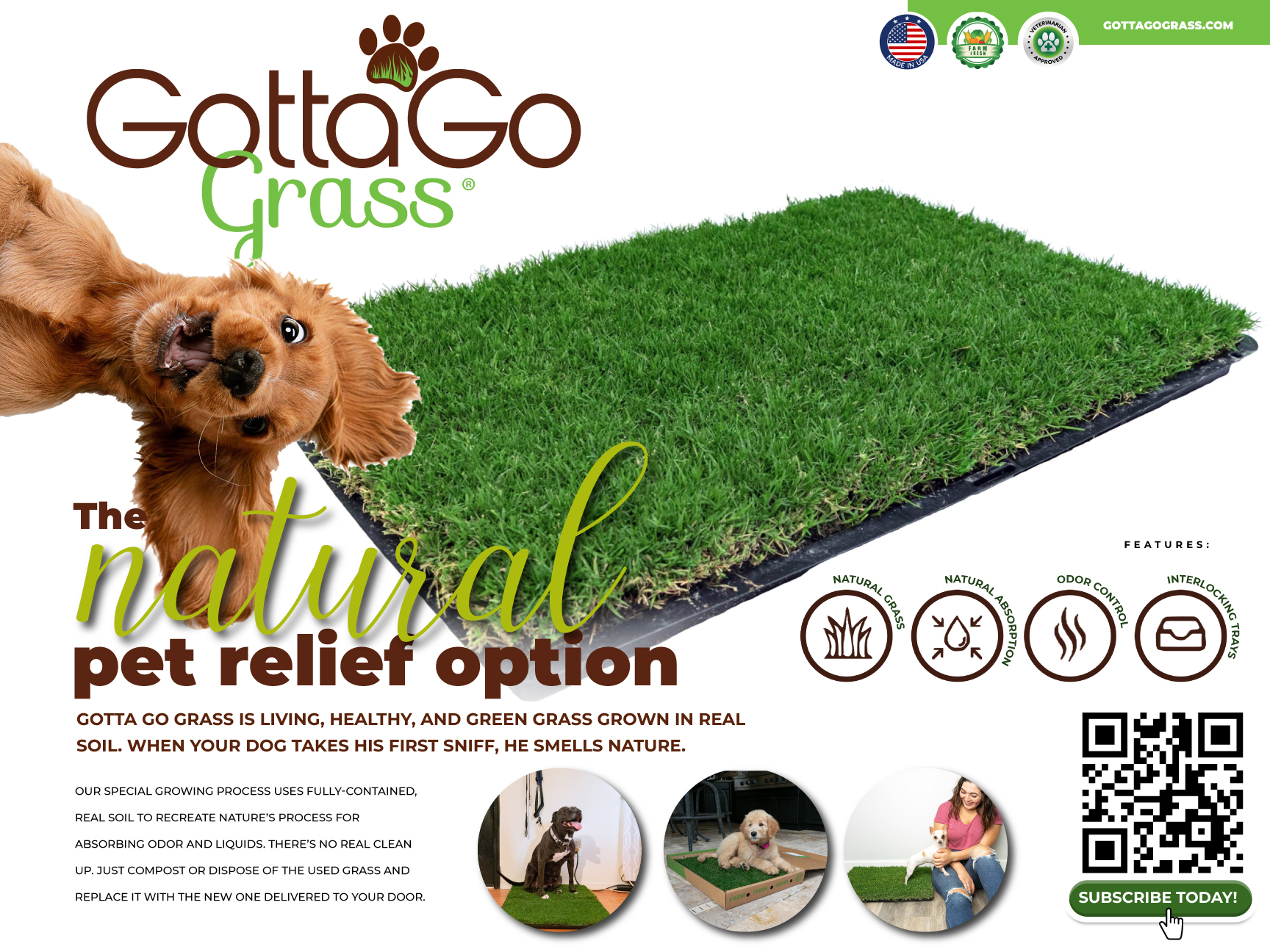 Design de Poster par Sarina.dsg pour ce projet | Design #27852423