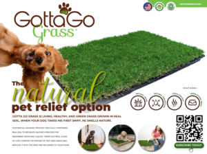 Poster Design by Sarina.dsg for this project | Design: #27852423