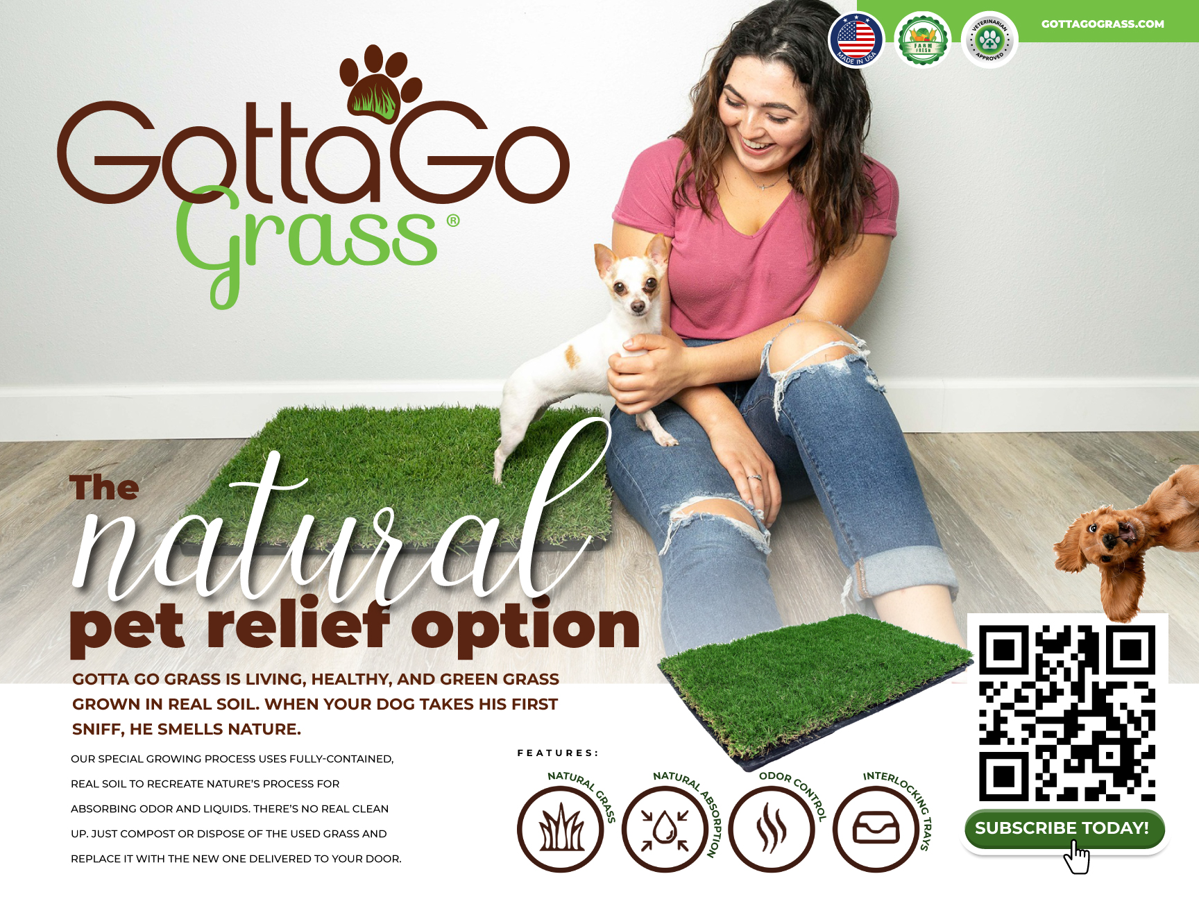 Poster Design by Sarina.dsg for this project | Design #27852424