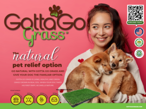 Poster Design by Sarina.dsg for this project | Design: #27863975