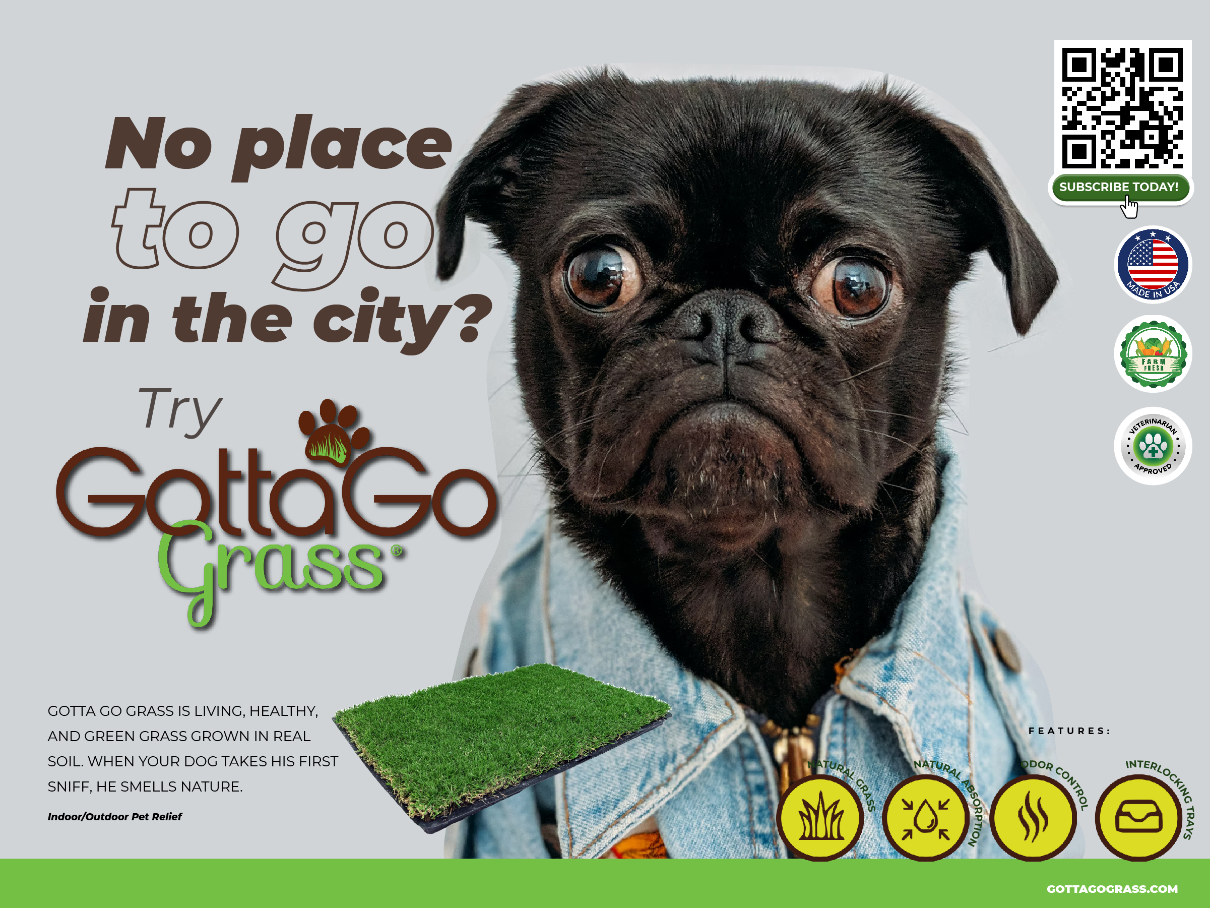 Poster Design by Sarina.dsg for this project | Design #27870508