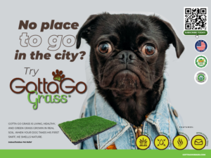 Poster Design by Sarina.dsg for this project | Design: #27870508