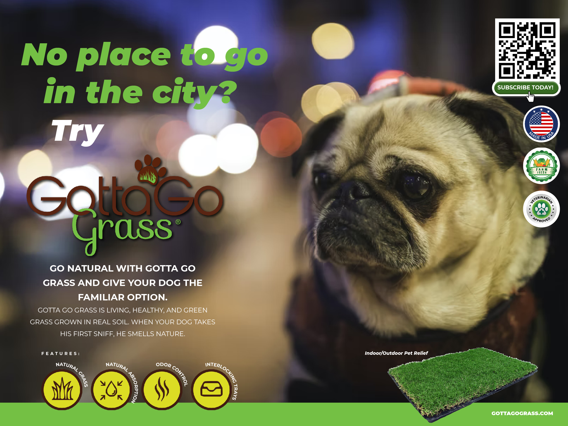 Poster Design by Sarina.dsg for this project | Design #27870510