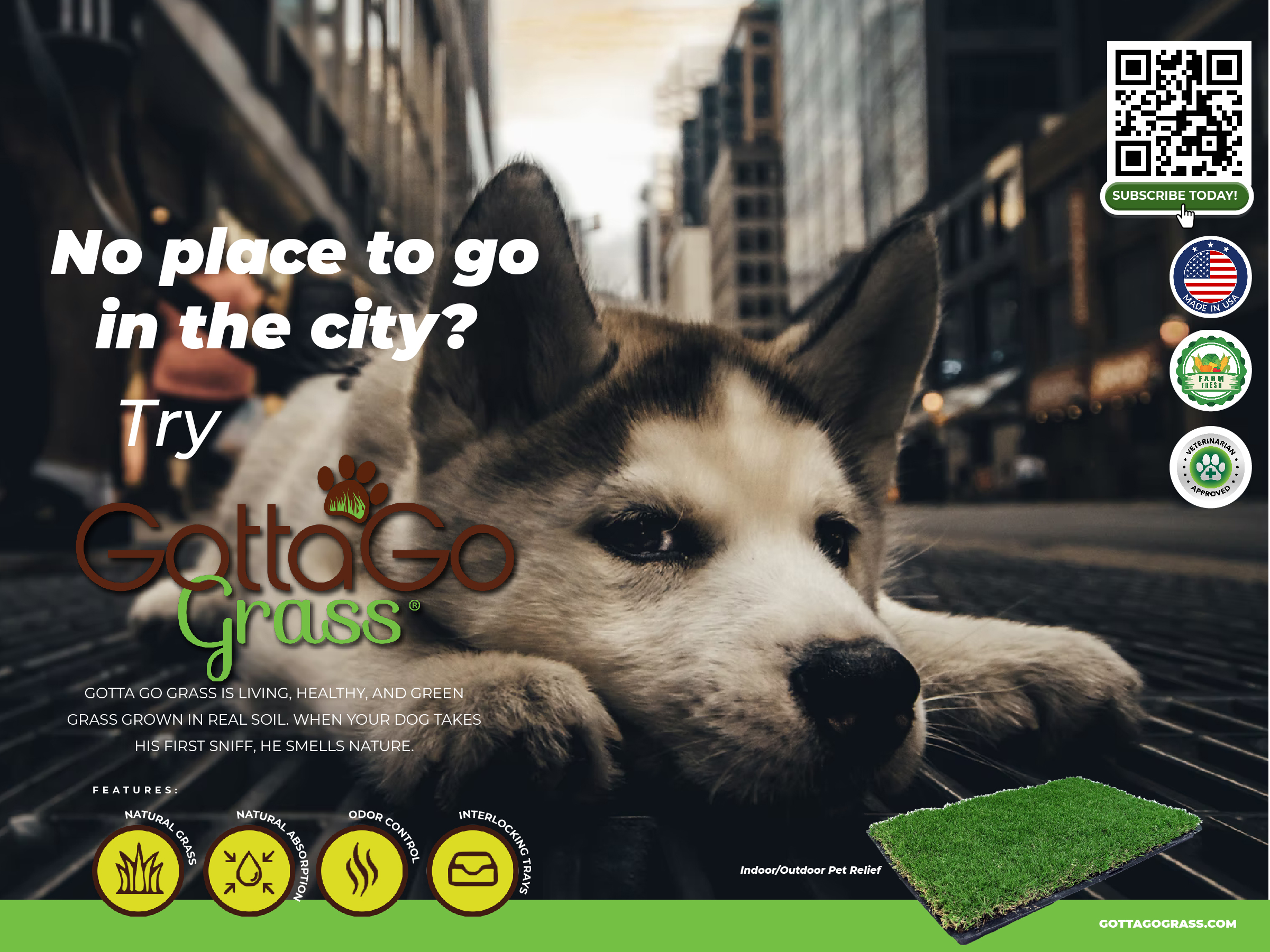 Poster Design by Sarina.dsg for this project | Design #27870512