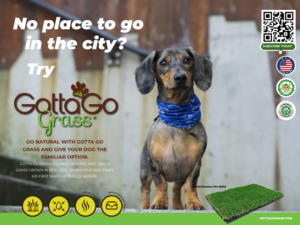 Poster Design by Sarina.dsg for this project | Design: #27870513