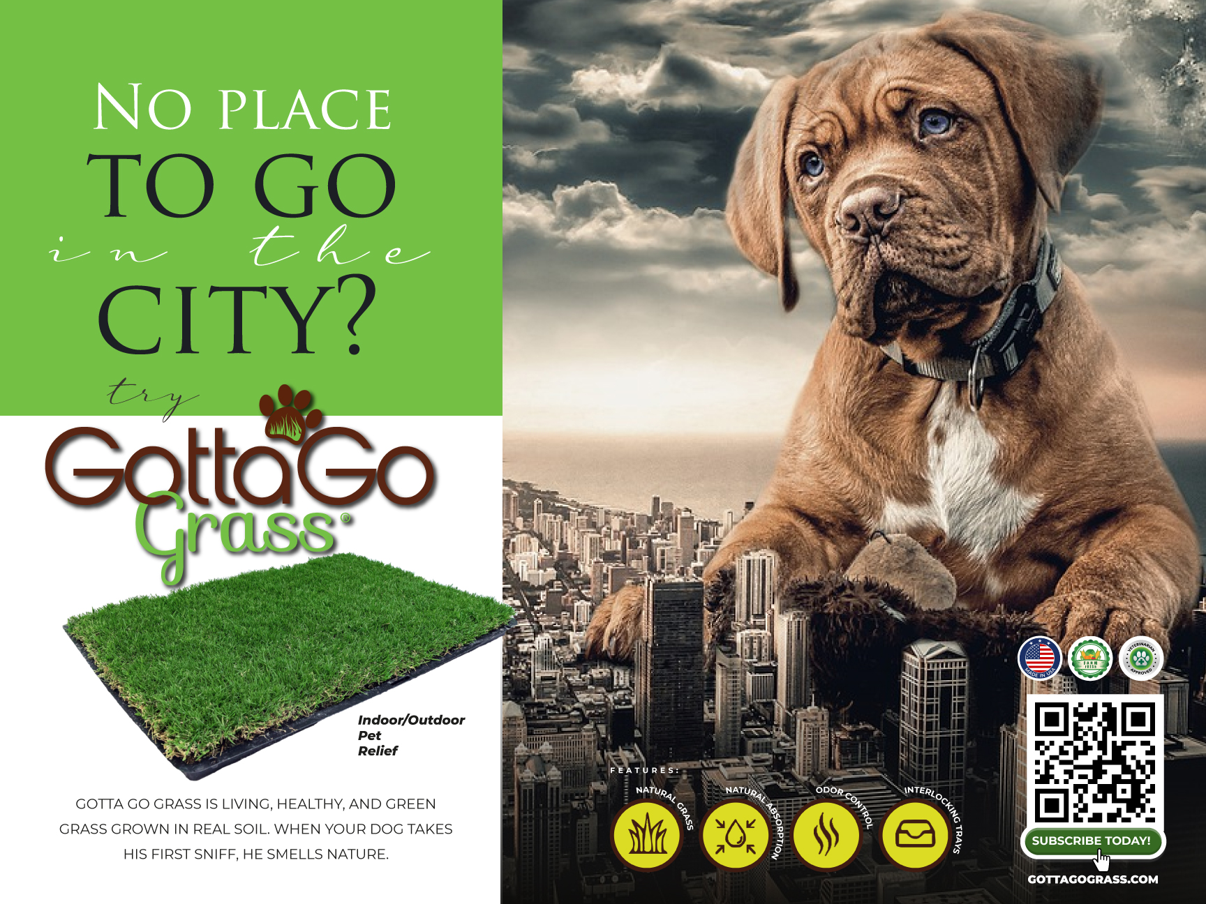 Poster Design by Sarina.dsg for this project | Design #27873360