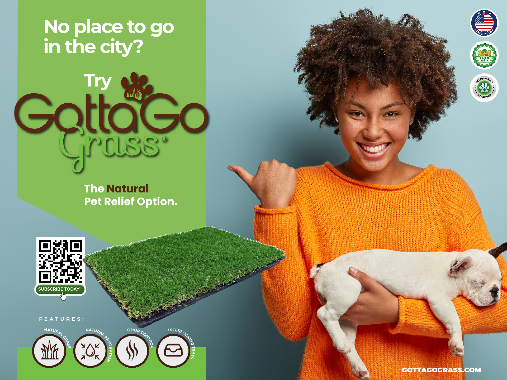 Diseño de Póster por Sarina.dsg para este proyecto | Diseño #27928349